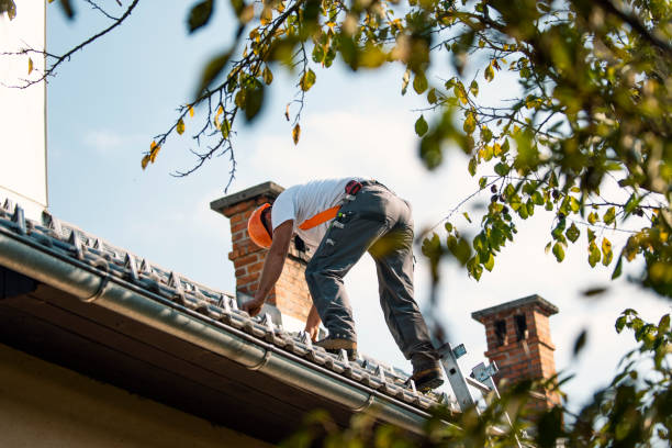 Best Gutter Installation and Roofing  in Hybla Lley, VA