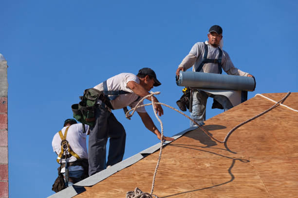 Best Local Roofing Companies  in Hybla Lley, VA